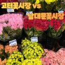 시장터미널 | [졸업식꽃다발] 고속터미널 꽃시장vs남대문 꽃시장 다녀온 후기 / 주차, 영업시간 총정리