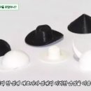 성게돌 이미지