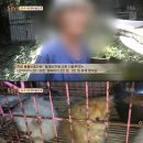 실상농장 이미지