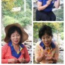 봉평떡방앗간 이미지
