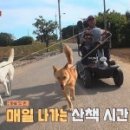 메리랑 메롱이네 이미지