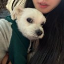 대림장 | 블첼 13 주차 결혼 전 마지막 블챌인가!