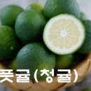 청귤칩+보석귤칩 주문 받습니다 이미지