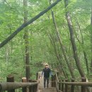 낙동정맥트레일(3코스-심미골단풍길) 이미지