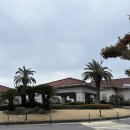 GS25 인천대공원중문 | 서귀포 중문 숙소 제주 신라호텔 디럭스 더블룸 마운틴뷰 태교여행 숙박후기