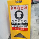 남산안경콘택트 | 서울) 남대문안경, 남대문 젠틀몬스터 일번가안경에서 안경 맞추고 왔어요! + 제니 선글라스 착샷후기