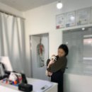 멜로멍스 이미지