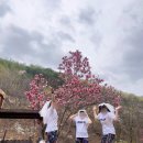 꿈을뜨는사람