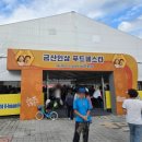 금산동초등학교 | 2025년 충남 금산 세계 인삼축제 방문후기 볼거리가득 인삼체험 주말 가볼만한곳