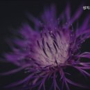 사직1동-5 | 동래구 요양원 찾으시면 성지노인요양원 동래구 성지노인요양원