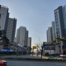 평촌어바인퍼스트 1~2단지 사이 오른쪽 네이버블로그
