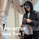 자연을 담은 리스 스타일링 | 필릭스 루이비통 가방 스피디 트렁크 25 모노그램 완벽 분석