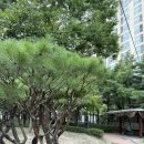 간데메공원 농구장 이미지