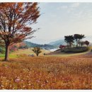 삼성골프클럽 이미지