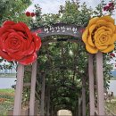 장미커피숍 - 화성시 31만세로 1109-6 | 장미커피숍