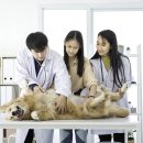 이끌림동물병원 이미지