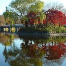 두류공원 이미지