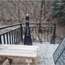 내안의숲 이미지