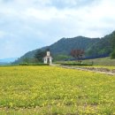 무궁화수목원 이미지