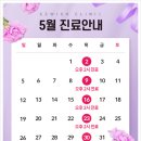 쉬즈위시의원 이미지