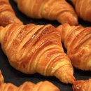 팀 크루아상 이미지