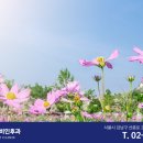 대치서울이비인후과의원 이미지