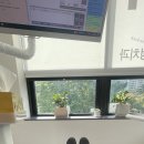 치즈치과교정과치과의원 네이버블로그