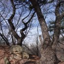 청량산(인천)2026.3.19. 이미지