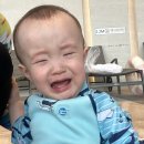 서귀포매일올레시장 이미지