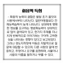 서울365아동의원