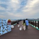 (주)궁평캠프 이미지