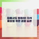 라이크치과의원 네이버블로그