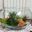 (원데이) 나만의 작은 숲, 테라리움 이미지