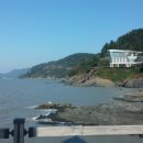 해안동백펜션 이미지