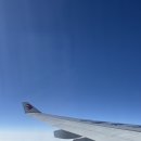 몰리(MOLY) | 상하이여행 3박 4일 경비 총정리 | 항공 숙소 식비 디즈니랜드 포함