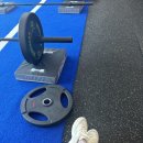 필라핏 156 이미지