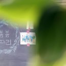 뽐뽐파리
