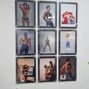 광진헬스 이미지