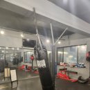 strong boxing gym 이미지