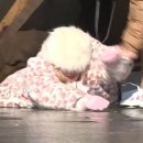 백학낚시터 이미지