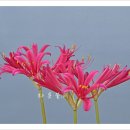 화톳불 - 속초시 | 화톳불
