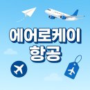 중부벳 동물운송 | 에어로케이항공 좌석 넓이, 운항 노선, 수화물 규정, 가격대 비교