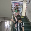 용인대 마루한 태권도 이미지