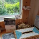 꿈꾸는 민박 이미지