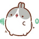 셀린 피트니스 이미지