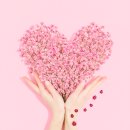 오늘의 기분 이미지