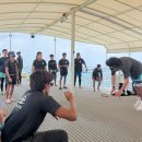 파도 파트너스 | 필리핀 보홀 호핑투어 업체 추천 한바다호핑 내돈내산 후기