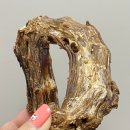 얌얌하개 이미지