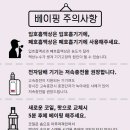 리세븐전자 이미지