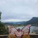 돼지날다 이미지